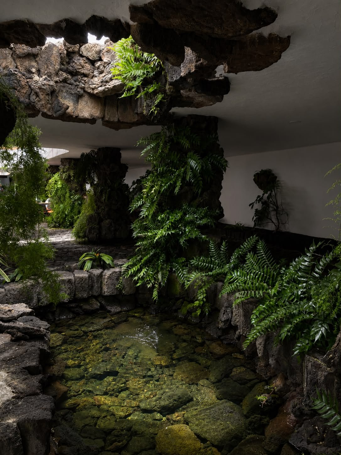Plantas